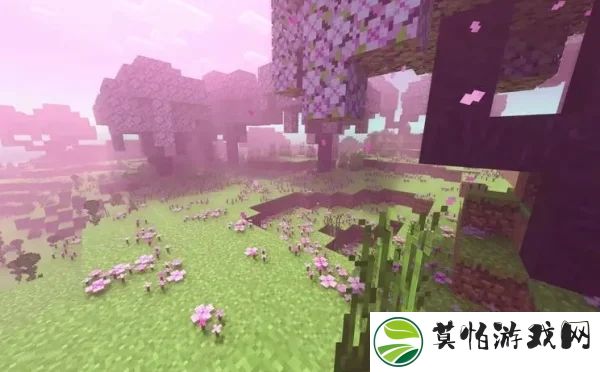 我的世界国际版1.21