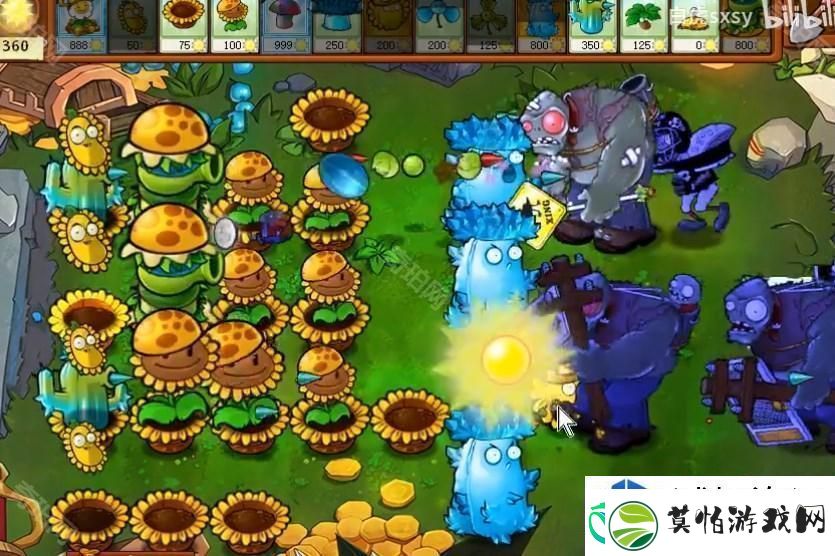 植物大战僵尸杂交版挑战模式第49关攻略