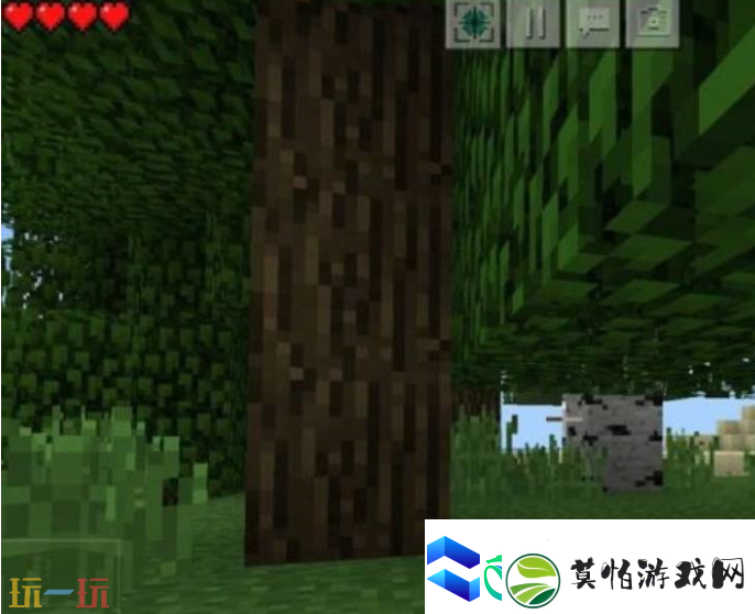 我的世界坐标传送指令使用指南