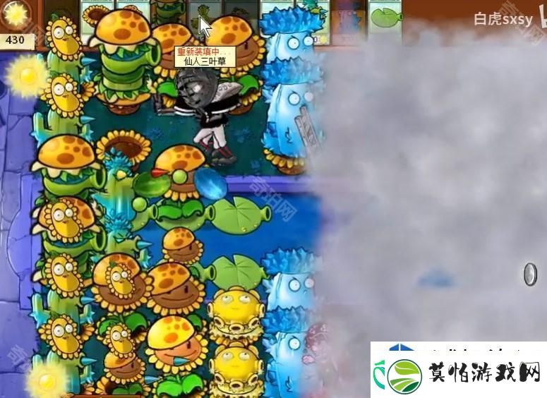 植物大战僵尸杂交版