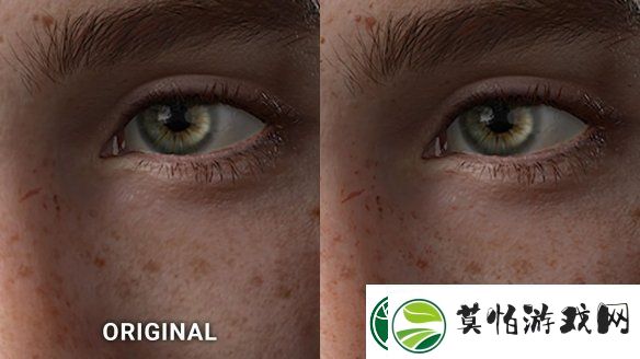 粉丝自制最后生还者2重制版8K艾莉Mod
