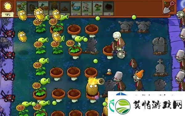 植物大战僵尸杂交版