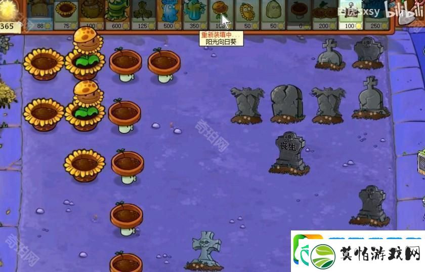 植物大战僵尸杂交版挑战模式第74关策略分析