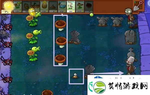 植物大战僵尸杂交版