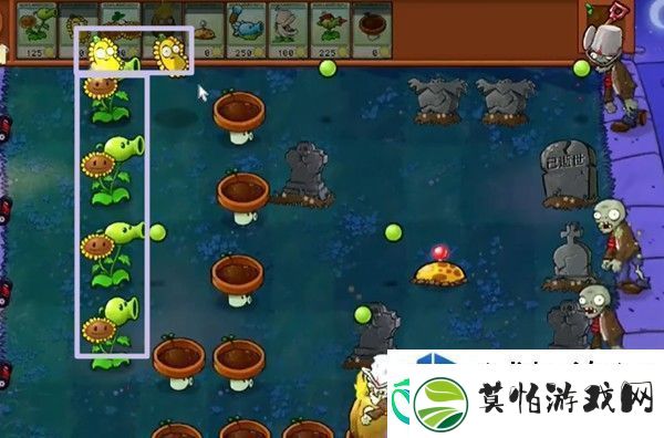 植物大战僵尸杂交版