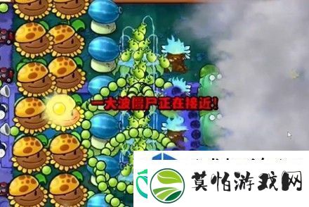 植物大战僵尸杂交版通关技巧