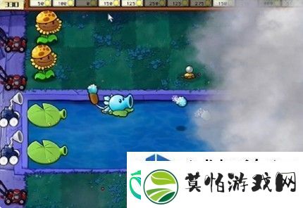 植物大战僵尸杂交版通关技巧