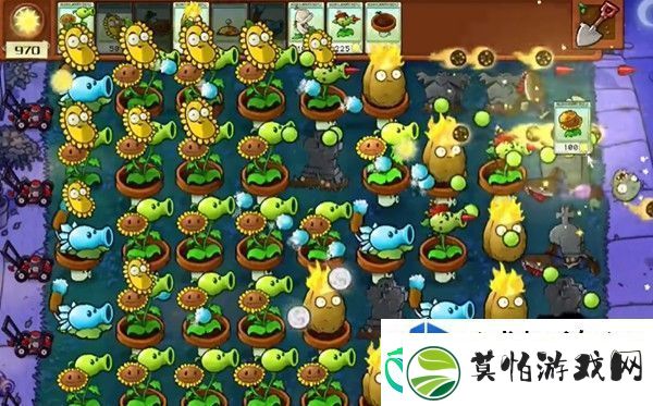 植物大战僵尸杂交版