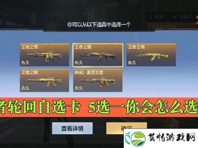 解锁你的专属武器库