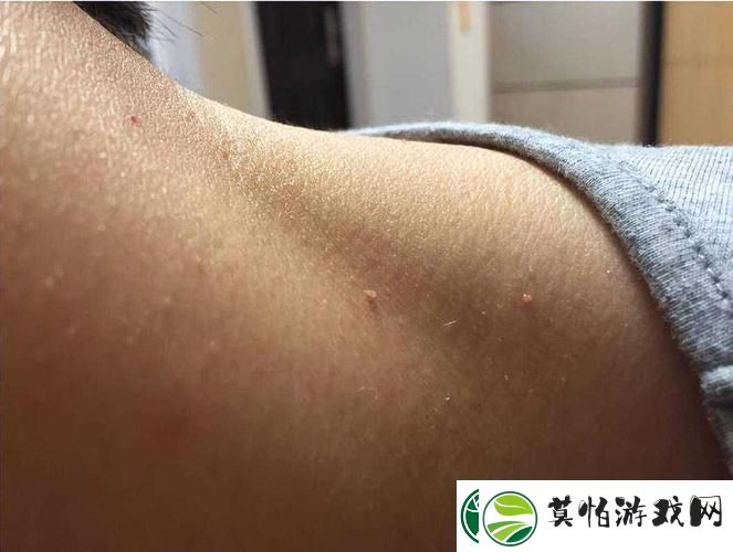 每天晚上都在汆肉中度
