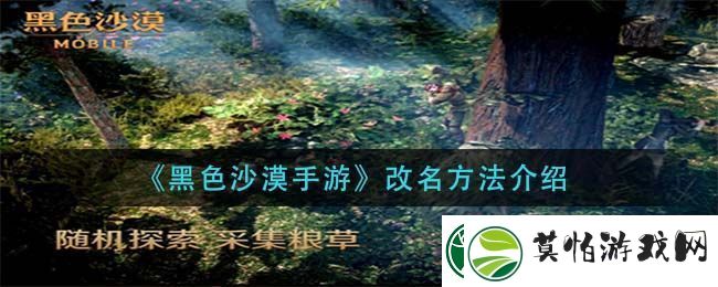 黑色沙漠手游改名方法介绍