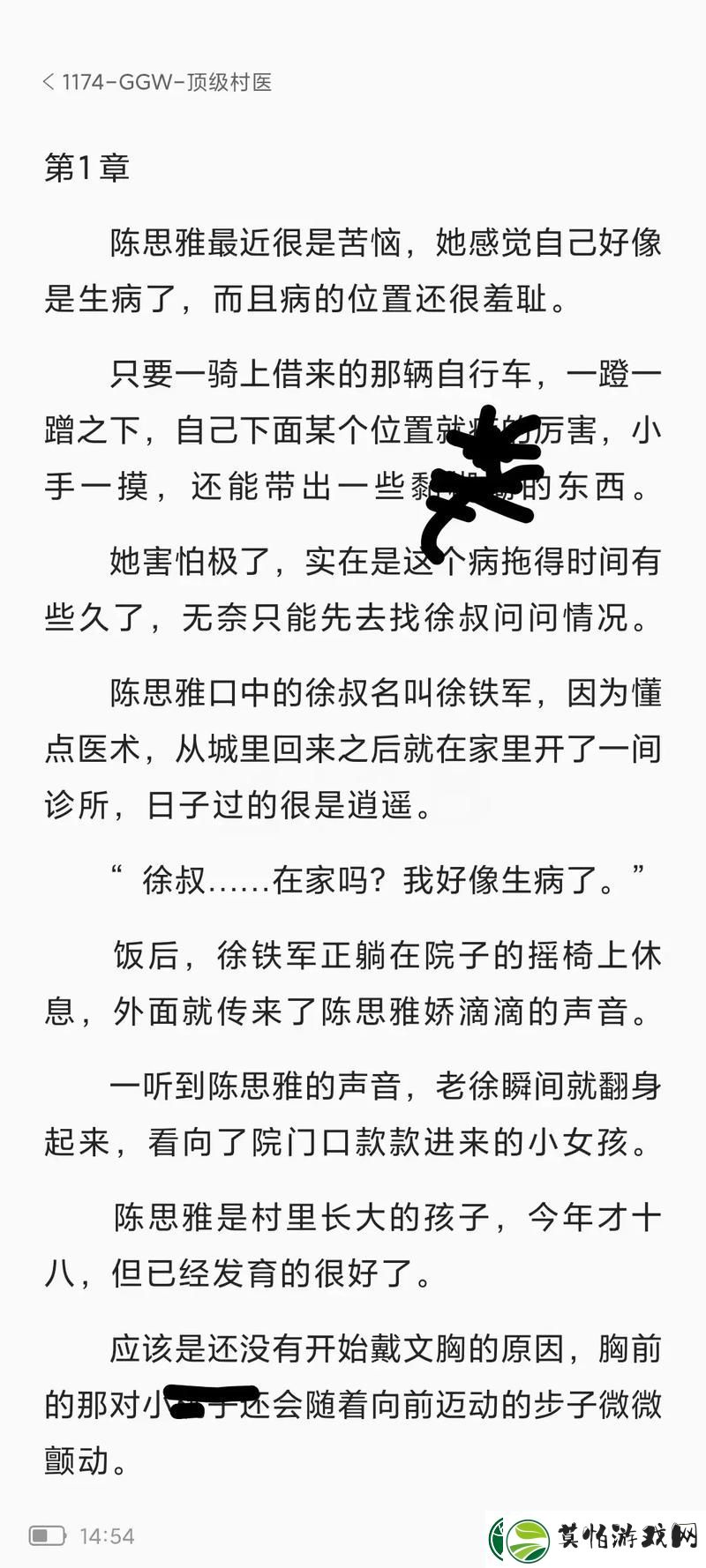 村医王叔和小丽的小说