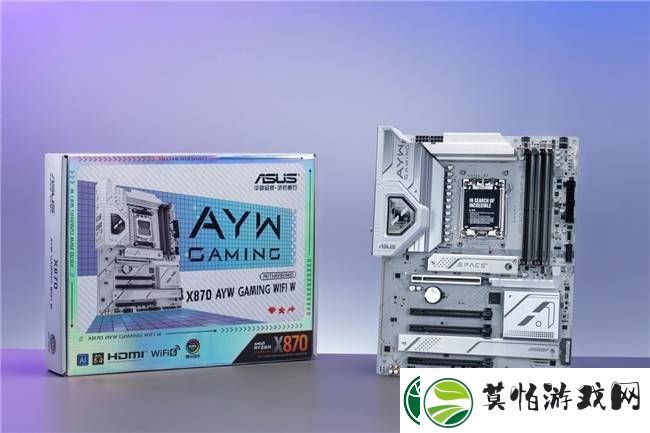 华硕X870