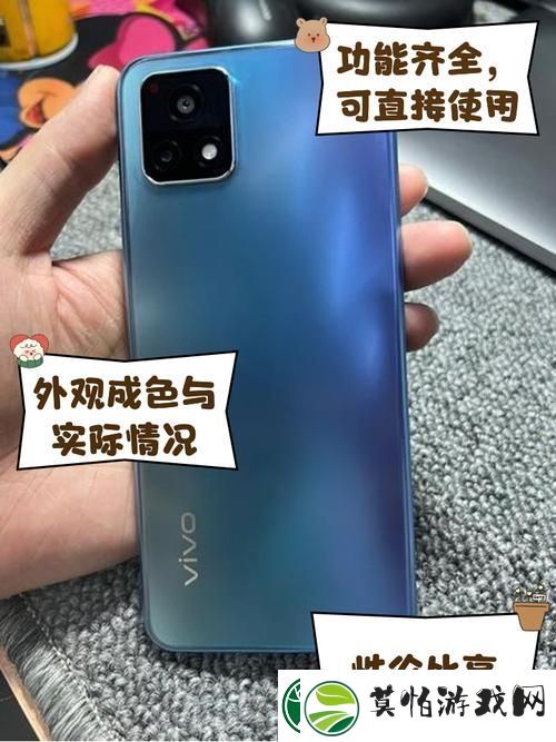 探寻“Y31成色23CT”的魅力与价值