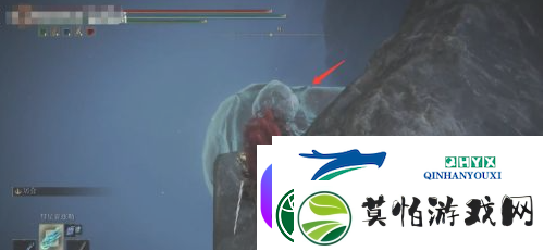 艾尔登法环魔法菈妮的暗月获得位置