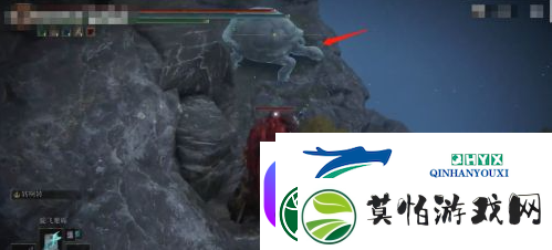 艾尔登法环魔法菈妮的暗月获得位置