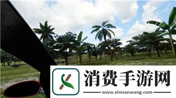 华夏宏图设施建造的样式