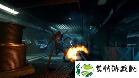 异形