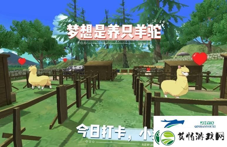 小森生活饲养动物秘籍