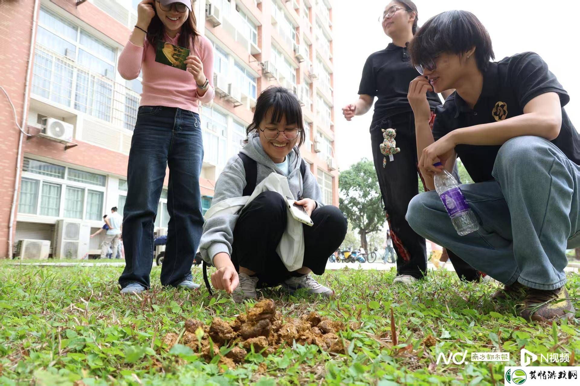 华农马文化节