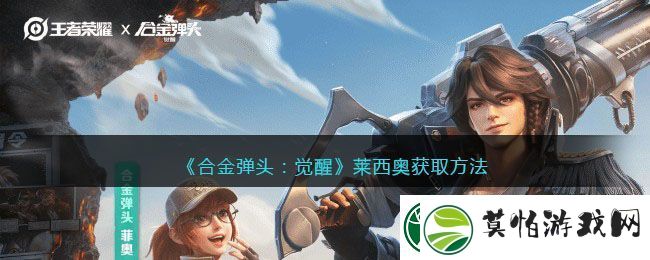 合金弹头