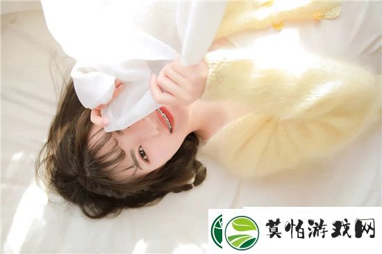 宠物猫的趣味生活