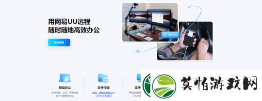 国内最佳免费远程软件