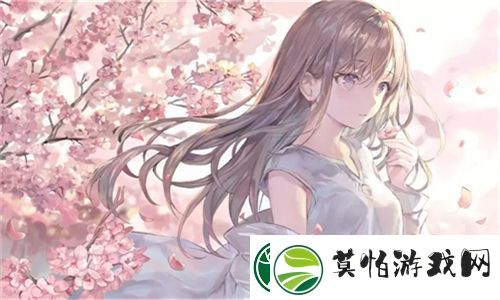 全新体验！成品视频CRM999让创作更高效